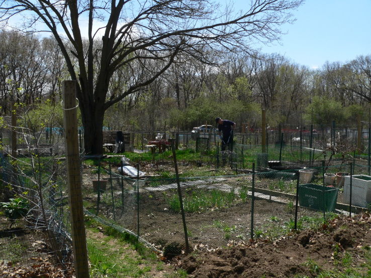 Nahanton Park 2023, 4 top things to do in newton, massachusetts